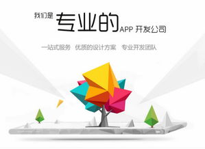 福州APP開發費用解析與網絡開發質量保障